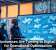 Why Businesses Are Turning to Digital Twins for Operational Optimization